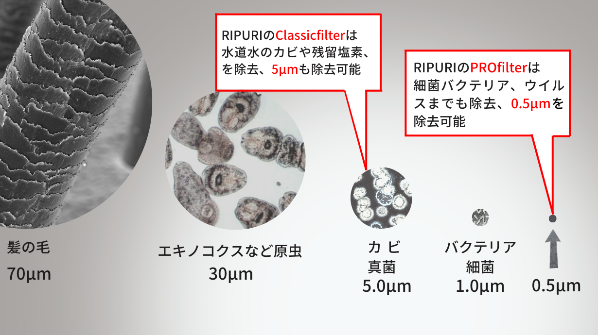 交換フィルター3個セット「PRO」